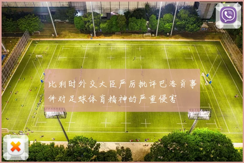 比利时外交大臣严厉批评巴洛贡事件对足球体育精神的严重侵害