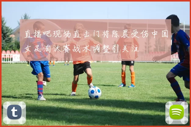 直播吧现场直击门将陈晨受伤中国女足淘汰赛战术调整引关注